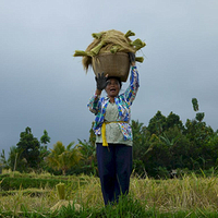 Photo de Bali - Autour de Munduk